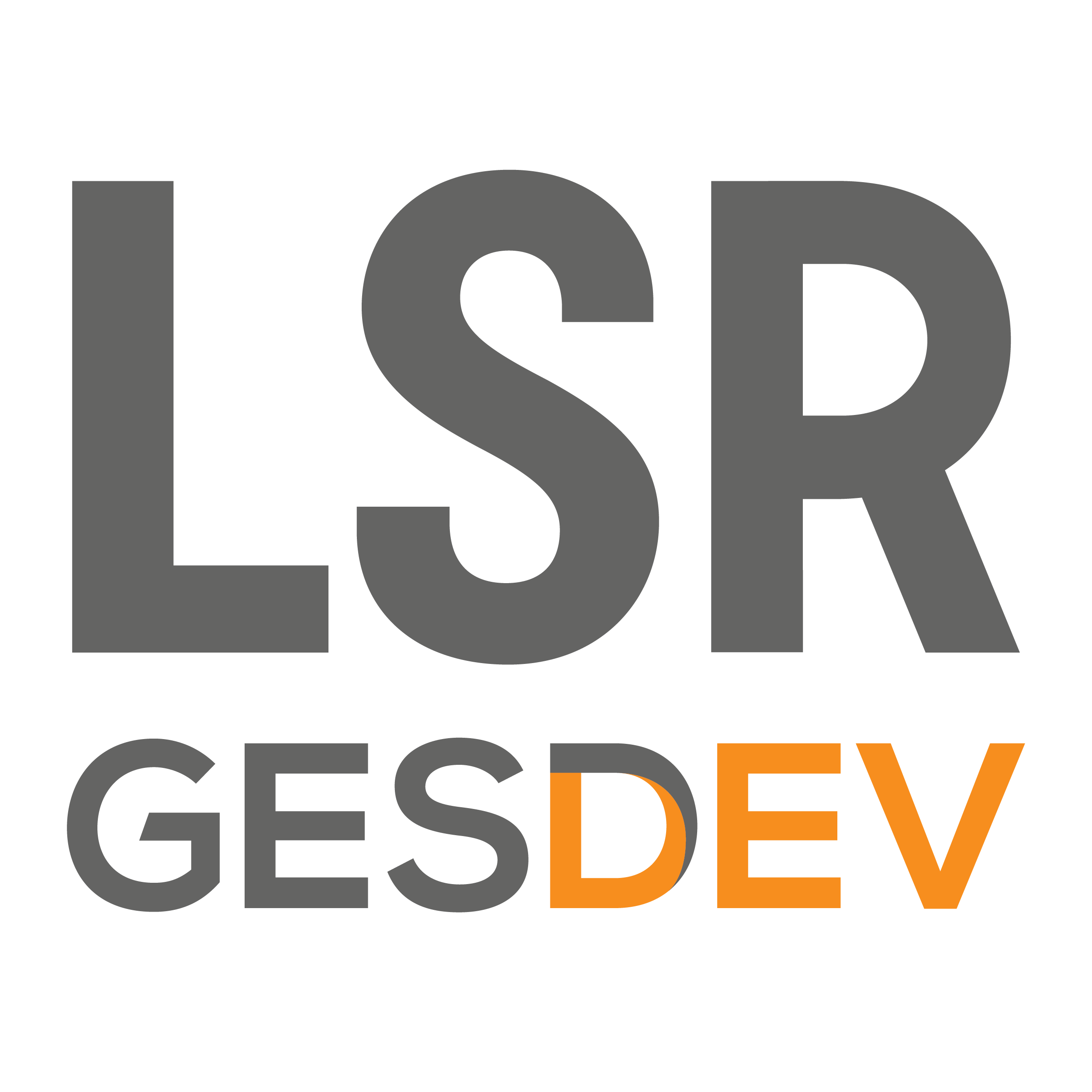Logo LSR GesDev