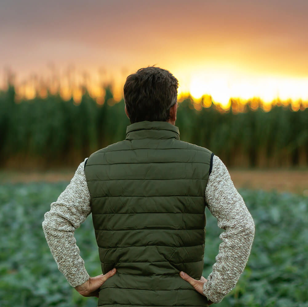 Un homme contemple son champ de légume