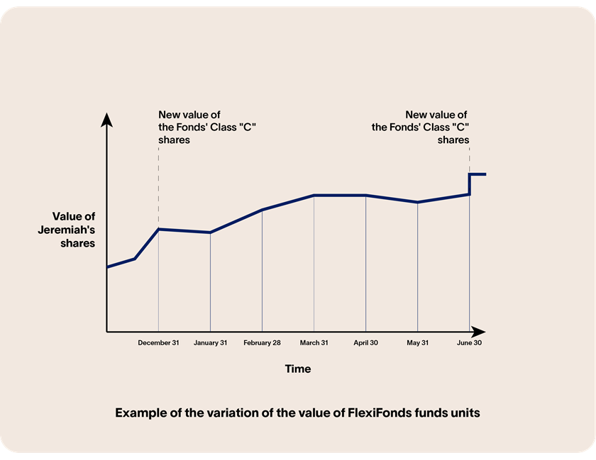 Graph with a line fluctuating over a period of 6 months, representing the value of a FlexiFonds mutual fund shares. When assessing the value of the Fund's shares on December 23 and June 23, the line increases more significantly.