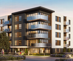 cloria-terrebon-tuile