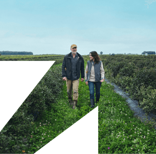 Un homme et une femme marchent dans un champ
