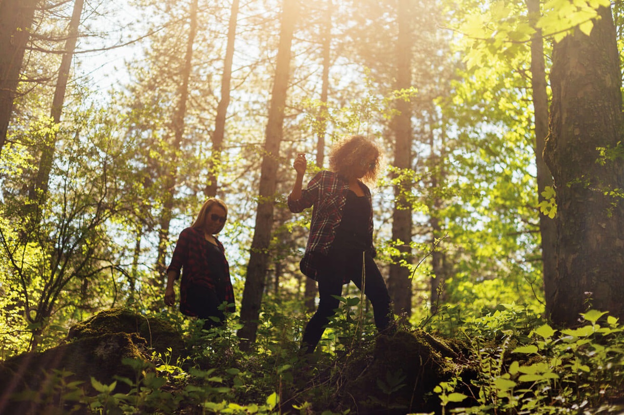 On a inventé une épargne qui protège des forêts