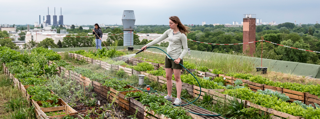 When it comes to food, how self-sufficient is Québec?